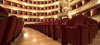 Florence City Musical